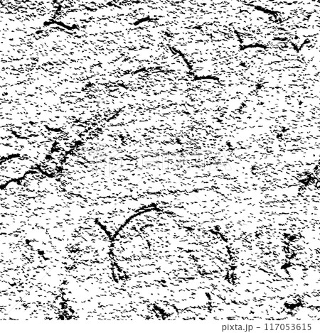 Grunge distressed seamless texture. Grainy monochrome overlay 117053615
