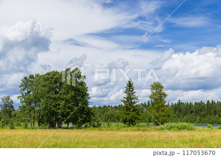 Summer landscape with trees under cloudy blue sky. Valday 117053670