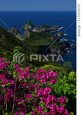ツツジ咲く、青い海と青い空 ツツジ咲く、青い海と青い空 117054255