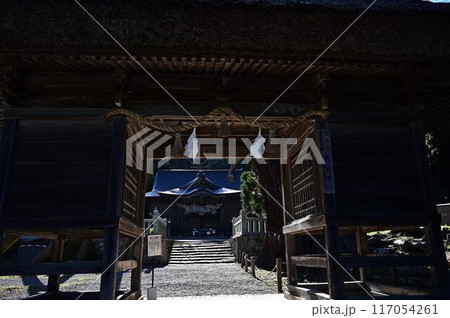 玉若酢命神社の八百杉 117054261