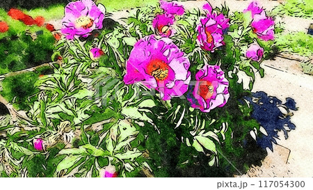Watercolor of a pink peony plant on a sunny day. 117054300