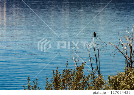 Beautiful scenic view of Lake Nahuel Huapi, San Carlos de Bariloche Beautiful scenic view of Lake Nahuel Huapi, San Carlos de Bariloche 117054423