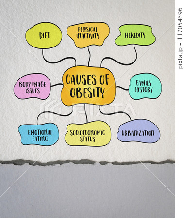 lifestyle, genetic, environmental and pychological causes of obesity, mind map infographics sketch lifestyle, genetic, environmental and pychological causes of obesity, mind map infographics sketch 117054596