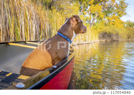 Learn to say no, setting boundaries, prioritizing personal wellbeing 117054840