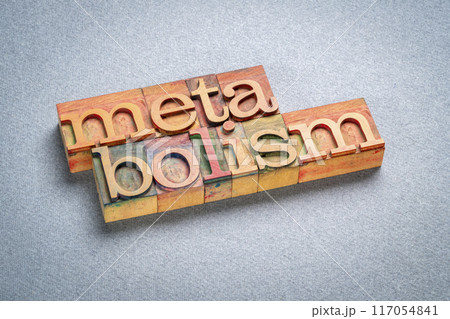 Learn to say no, setting boundaries, prioritizing personal wellbeing 117054841