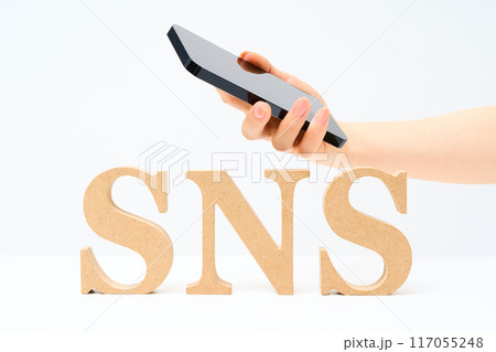 「SNS」と並べられたアルファベットの木製ブロック 「SNS」と並べられたアルファベットの木製ブロック 117055248