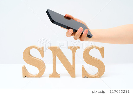 「SNS」と並べられたアルファベットの木製ブロック 117055251