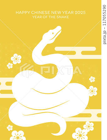 Happy chinese new year of the snake 2025 card with oriental pattern 117055290