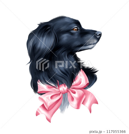 Cute black dog with pink bow. Animal illustration isolated on white. 117055366