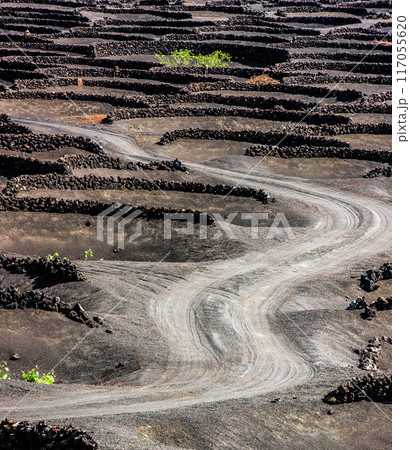 road in Lanzarote 117055620