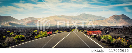 magnificent panorama of mountains magnificent panorama of mountains 117055636