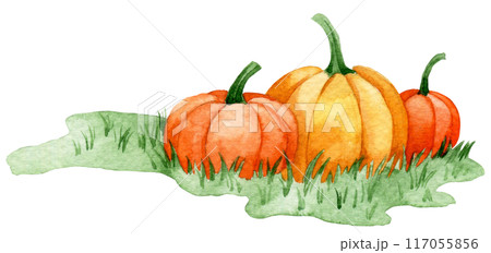 watercolor drawing, green lawn with pumpkins. clipart for thanksgiving day, autumn harvest festival watercolor drawing, green lawn with pumpkins. clipart for thanksgiving day, autumn harvest festival 117055856