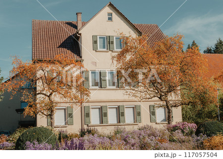House with nice garden in fall. Flowers in the City Park of Bietigheim-Bissingen, Baden-Wuerttemberg, Germany, Europe. Autumn Park and house, nobody, bush and grenery 117057504