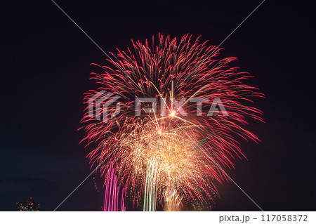 葛飾納涼花火大会 117058372
