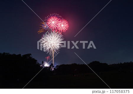 葛飾納涼花火大会 117058375