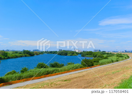 千葉県松戸市江戸川2024年7月 千葉県松戸市江戸川2024年7月 117058401