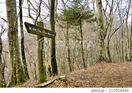 丹沢の甲相国境尾根 ブナ沢ノ頭山頂 丹沢の甲相国境尾根 ブナ沢ノ頭山頂 117058480
