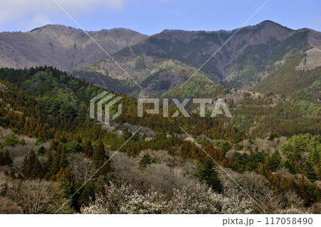 道志山塊 今倉山と平沢ノ頭 道志山塊 今倉山と平沢ノ頭 117058490