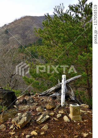 丹沢の秋葉山山頂 頂の三角点に鳥ノ胸山を望む 丹沢の秋葉山山頂 頂の三角点に鳥ノ胸山を望む 117058519