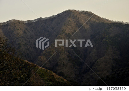丹沢の秋葉山山頂より望む朝日の菜畑山 丹沢の秋葉山山頂より望む朝日の菜畑山 117058530