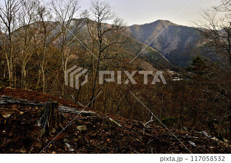 丹沢の秋葉山山頂より　朝焼けの道志山塊　水喰ノ頭と菜畑山 117058532