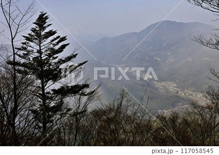 丹沢の鳥ノ胸山山頂より　朝靄の富士山と御正体山 117058545