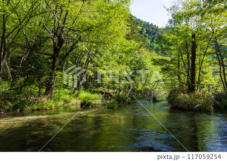 日本屈指の山岳リゾート　新緑の上高地 117059254