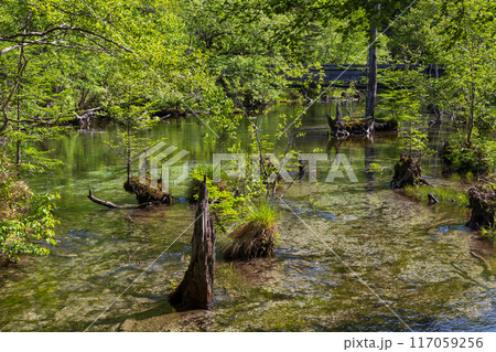 日本屈指の山岳リゾート　新緑の上高地 117059256