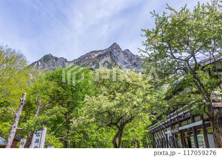 日本屈指の山岳リゾート 新緑の上高地 明神岳とズミの花 日本屈指の山岳リゾート 新緑の上高地 明神岳とズミの花 117059276