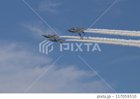 航空自衛隊のブルーインパルス 航空自衛隊のブルーインパルス 117059310