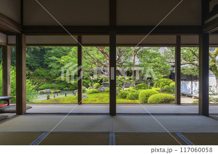 新緑の京都　青蓮院　華頂殿から眺める相阿弥の庭 117060058