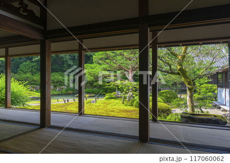 新緑の京都　青蓮院　華頂殿から眺める相阿弥の庭 117060062