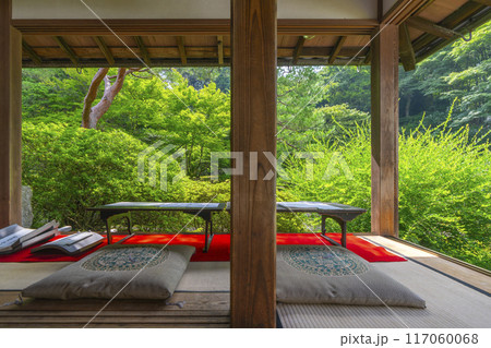 新緑の京都　青蓮院　華頂殿から眺める相阿弥の庭 117060068