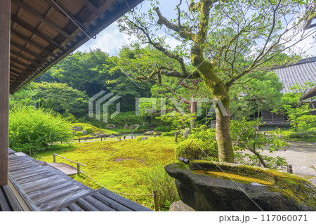 新緑の京都　青蓮院　華頂殿から眺める相阿弥の庭 117060071