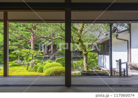 新緑の京都 青蓮院 華頂殿から眺める相阿弥の庭 新緑の京都 青蓮院 華頂殿から眺める相阿弥の庭 117060074