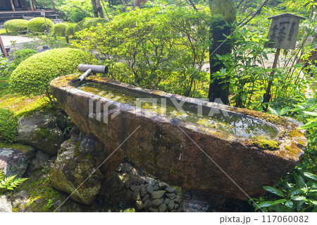 新緑の京都 青蓮院 一文字手水鉢 新緑の京都 青蓮院 一文字手水鉢 117060082