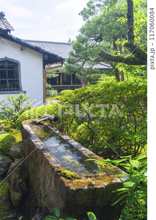 新緑の京都　青蓮院　一文字手水鉢 117060084