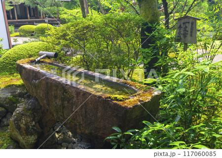 新緑の京都 青蓮院 一文字手水鉢 新緑の京都 青蓮院 一文字手水鉢 117060085