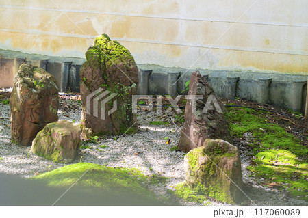新緑の京都 青蓮院 小御所横の坪庭 新緑の京都 青蓮院 小御所横の坪庭 117060089