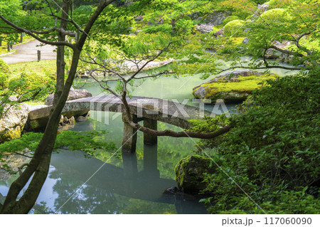 新緑の京都　青蓮院　相阿弥の庭 117060090