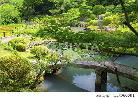 京都 青蓮院 相阿弥の庭 龍心池に跨龍橋が架かる 京都 青蓮院 相阿弥の庭 龍心池に跨龍橋が架かる 117060091