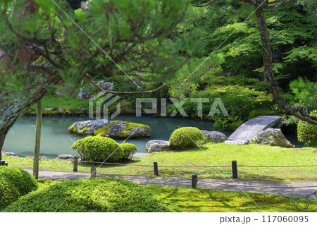 新緑の京都　青蓮院　相阿弥の庭 117060095