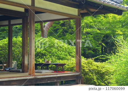 新緑の京都　青蓮院　相阿弥の庭と華頂殿 117060099