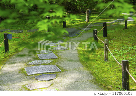 新緑の京都　青蓮院　霧島の庭 117060103
