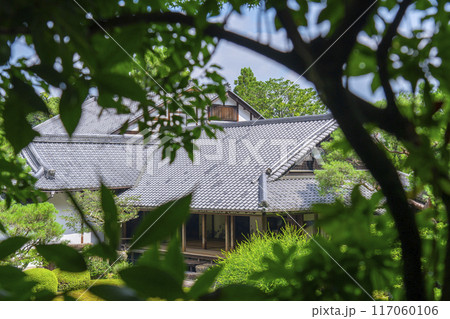 新緑の京都　青蓮院　庭から眺める華頂殿 117060106