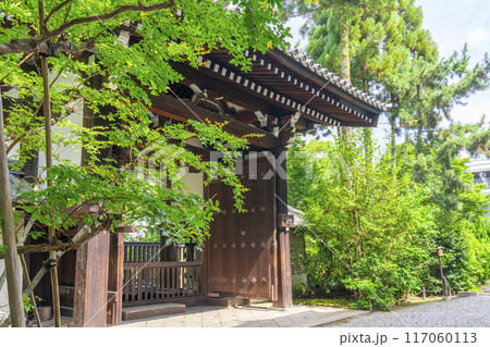新緑の京都 青蓮院 御幸門(四脚門) 新緑の京都 青蓮院 御幸門(四脚門) 117060113