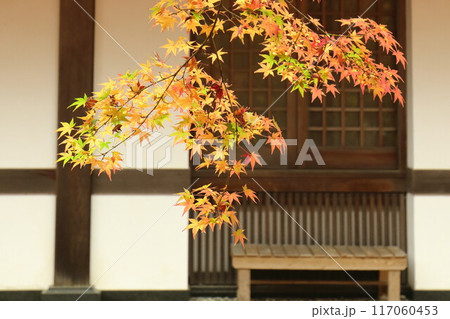 紅葉が美しい秋の庭園 紅葉が美しい秋の庭園 117060453