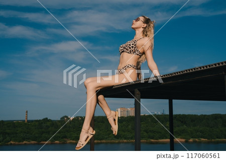 Woman in Leopard Print Bikini Sitting on a Deck Woman in Leopard Print Bikini Sitting on a Deck 117060561