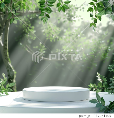 White Circular Platform in a Misty Forest Setting 117061405