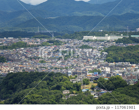山に切り開かれた住宅密集地 山に切り開かれた住宅密集地 117061981